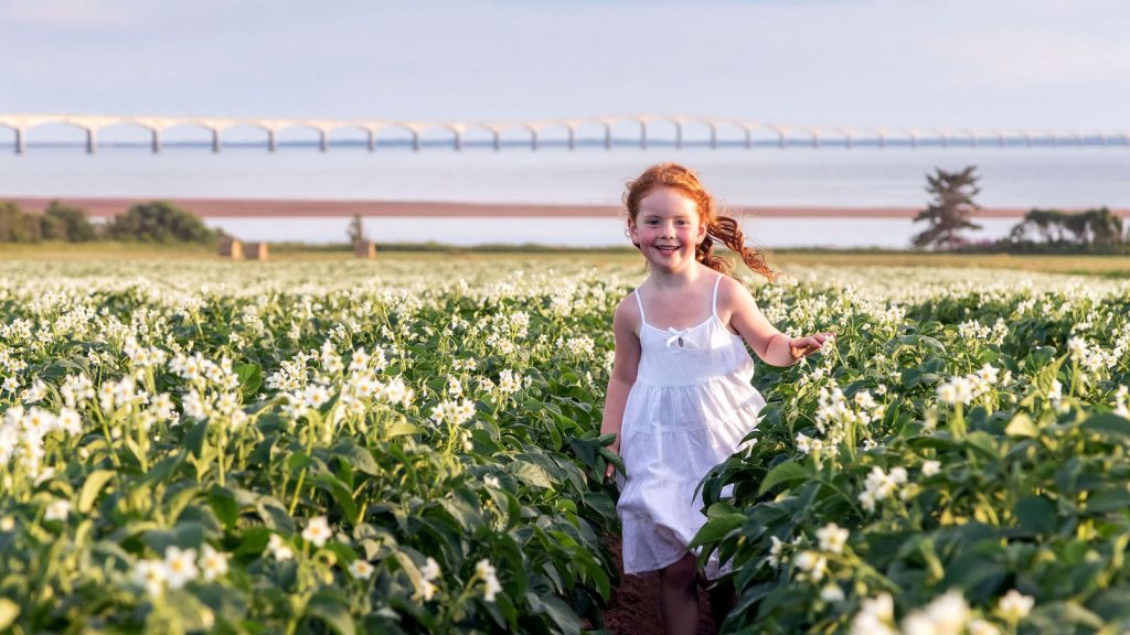 PEI little red headed girl running in teh field with Confederation Bridge in background